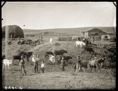 Iconic_Sodbusters_of_the_Prairie_D_D_Teoli_Jr__A_C__2816229.jpg