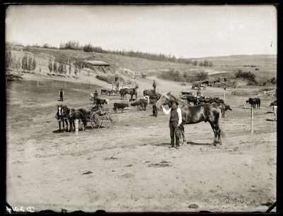Iconic_Sodbusters_of_the_Prairie_D_D_Teoli_Jr__A_C__2816629.jpg