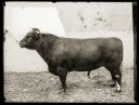 Iconic_Sodbusters_of_the_Prairie_D_D_Teoli_Jr__A_C__2819829.jpg